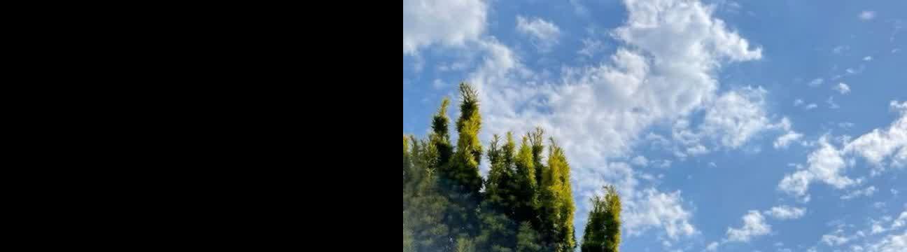 فاطمه جلیلیان